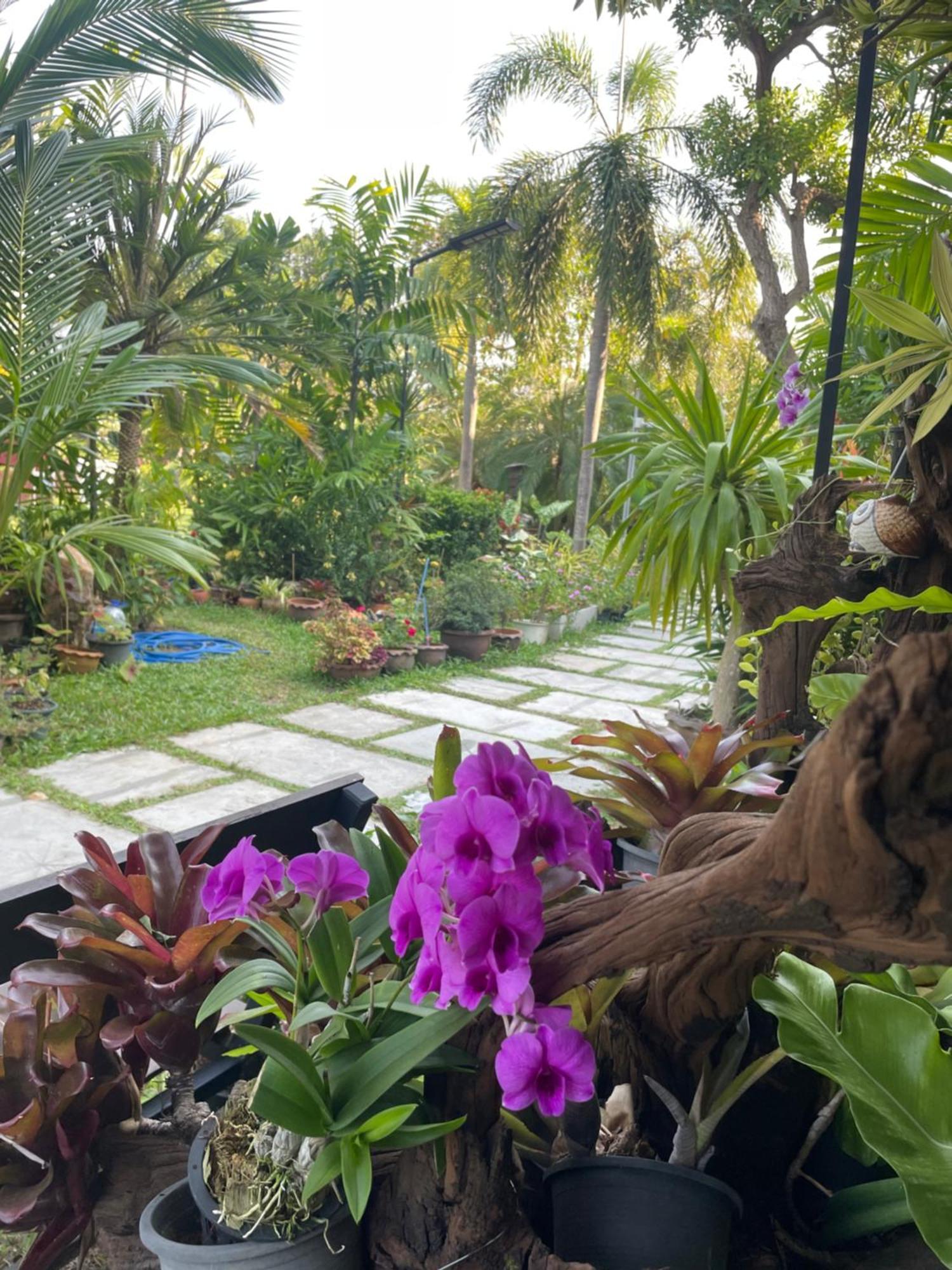 玛尼达海滩度假村 拉迈海滩 外观 照片