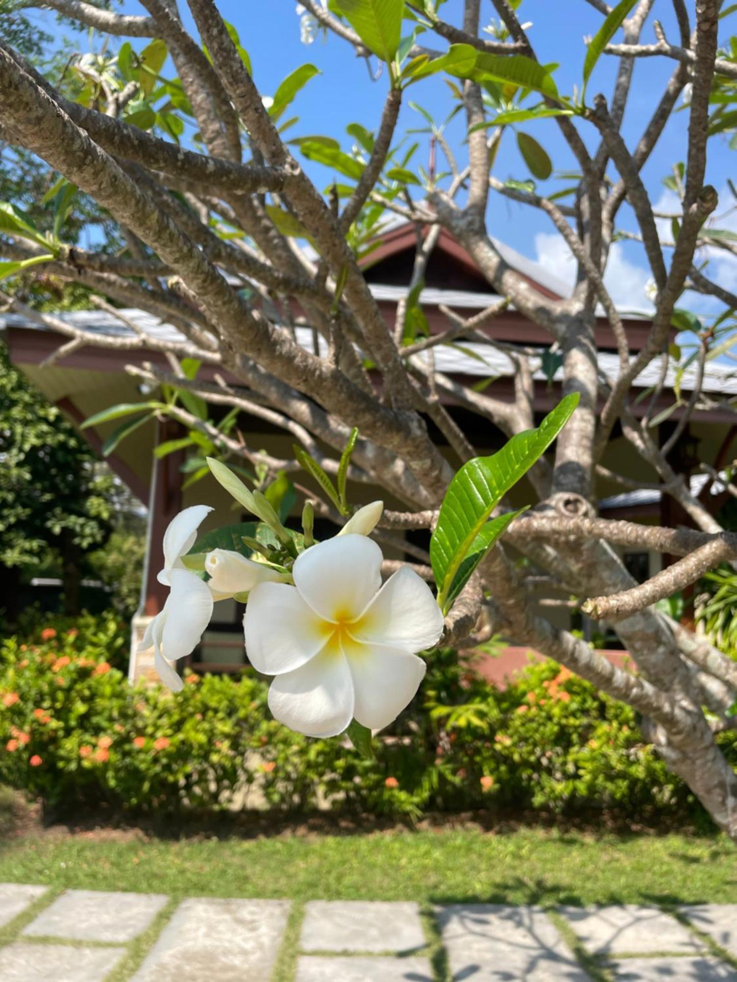 玛尼达海滩度假村 拉迈海滩 外观 照片